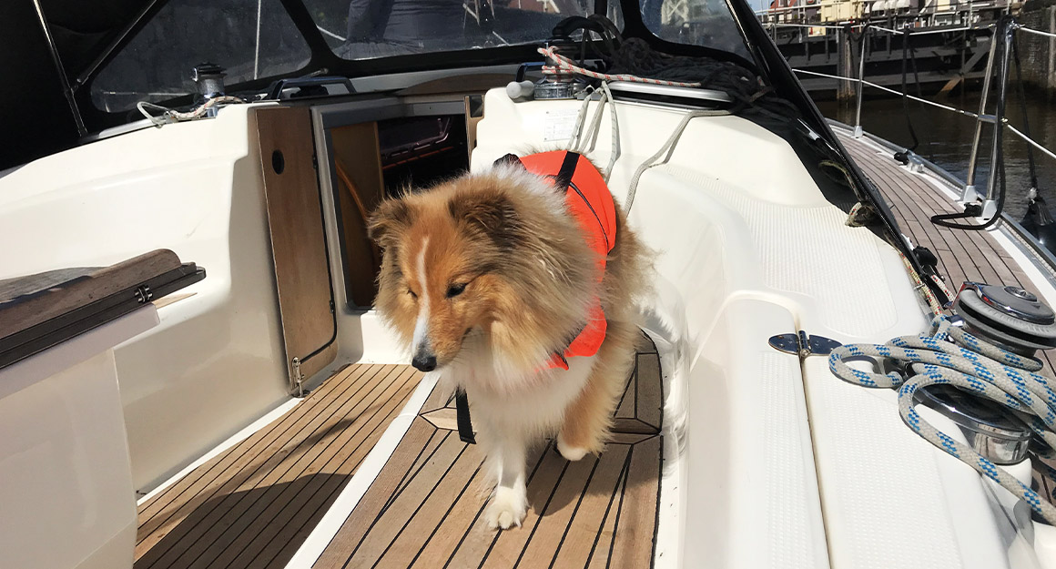 BAVARIA YACHTS Atlantik segeln