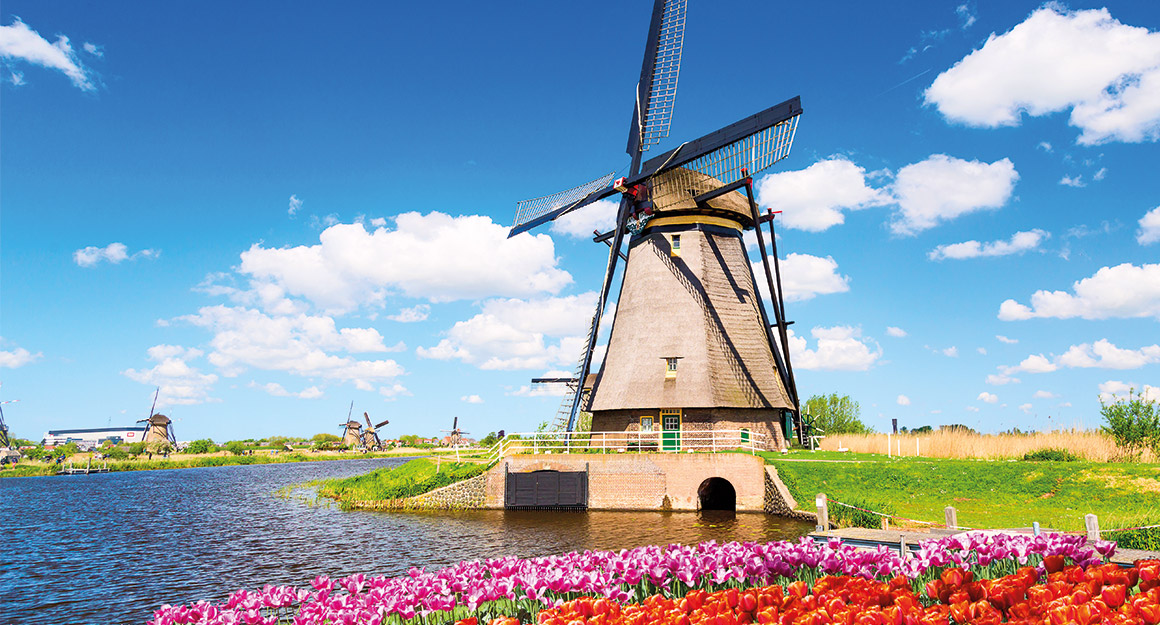 Tulpenblüte in Holland