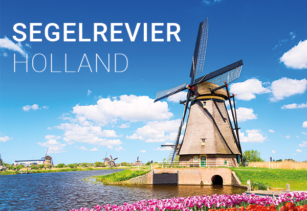 Tulpenblüte Holland